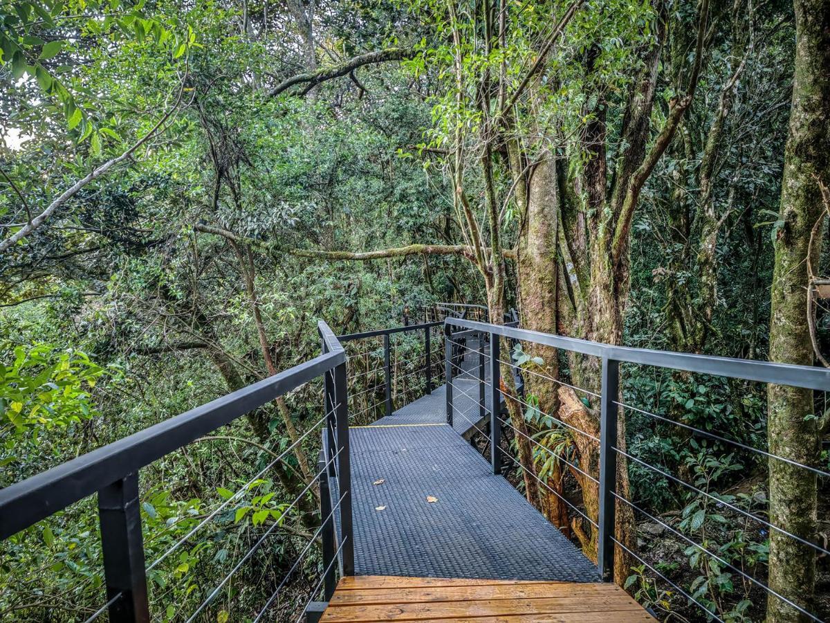 Cloud Forest Lodge By Boeena Монте-Верде Экстерьер фото